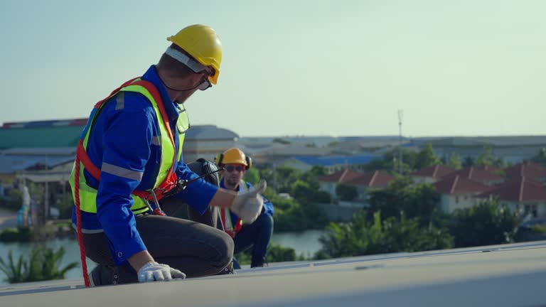 Best Roof Moss and Algae Removal  in Gurnee, IL