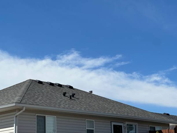Best Rubber Roofing (EPDM, TPO)  in Gurnee, IL